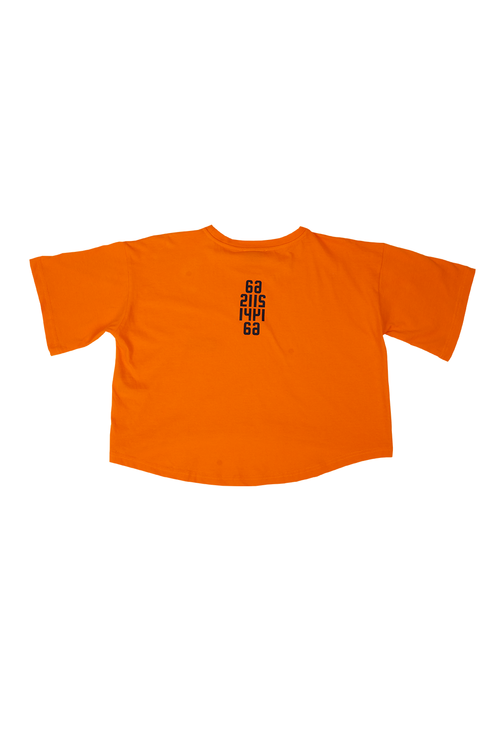 Crop T-shirt